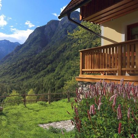 Zadnjica Holiday House Soča Extérieur photo